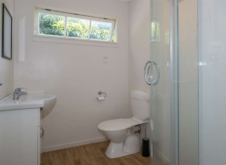 36a Alma Street Renwick_6