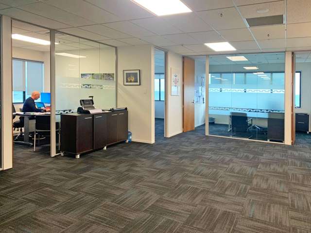 54 Gill Street New Plymouth_3