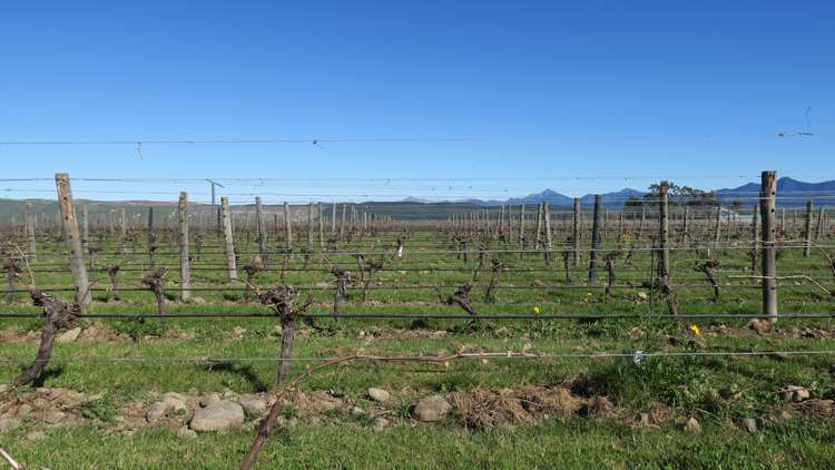 708 Waihopai Valley Road Waihopai Valley_8