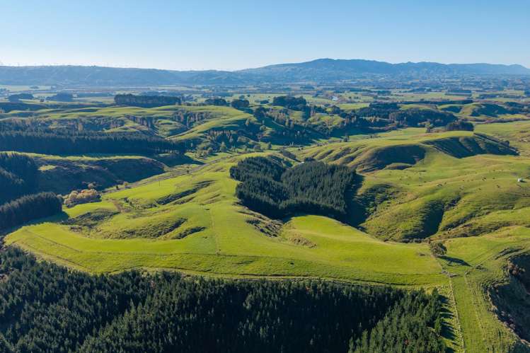 Ridge Road North Pahiatua_1