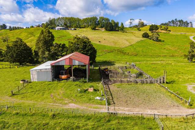 131 Taipuha Road Waiotira_2