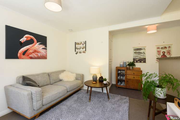 16 Wilberforce Street Miramar_10