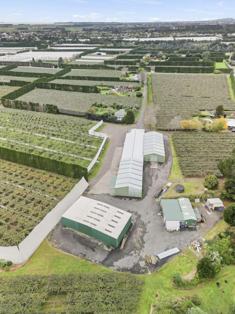 288 No 3 Road Te Puke_8