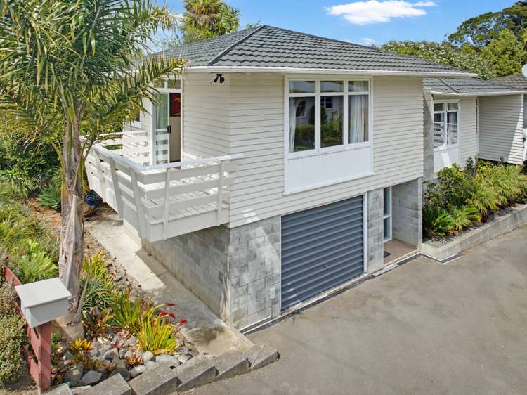 27A Virginia Road Saint Johns Hill_23