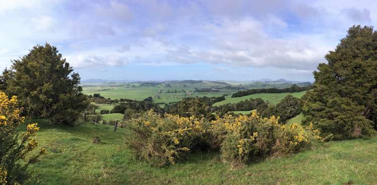 Hukerenui Road Hukerenui and Surrounds_18