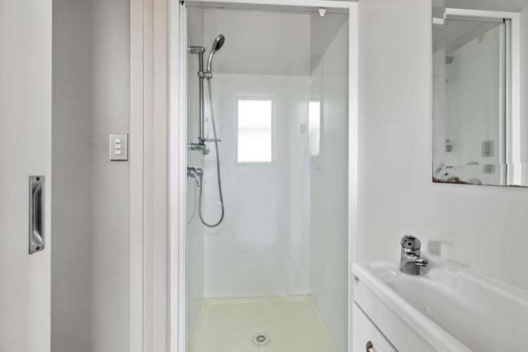 45 Walton Street Sydenham_16