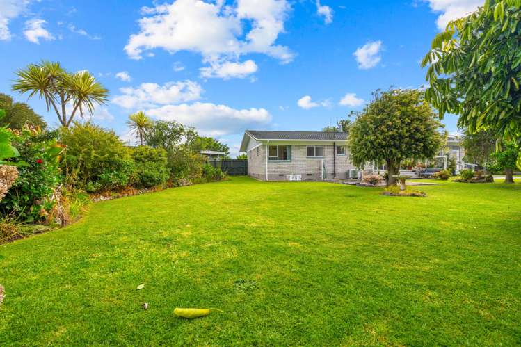 12 Windsor Avenue Te Kamo_14