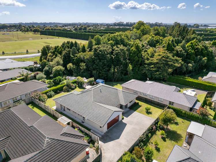 8 Nolan Place Katikati_31