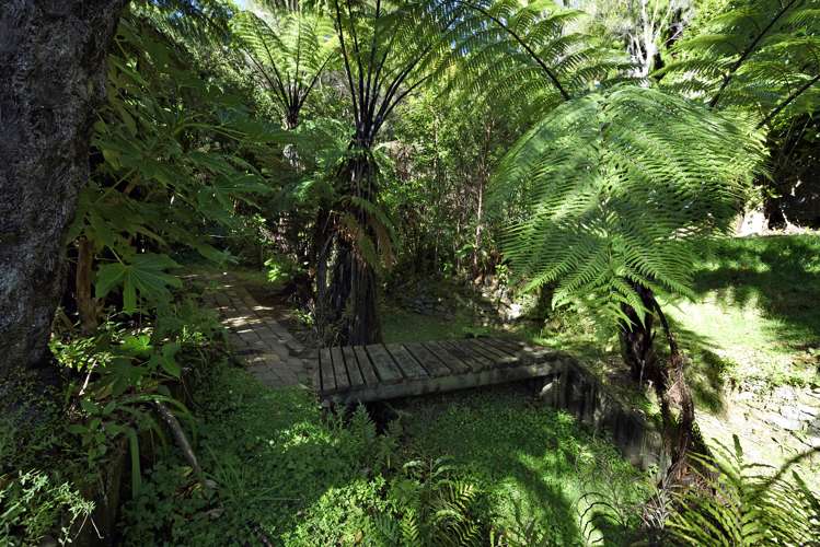 25 Nikau Street Duncan Bay_21