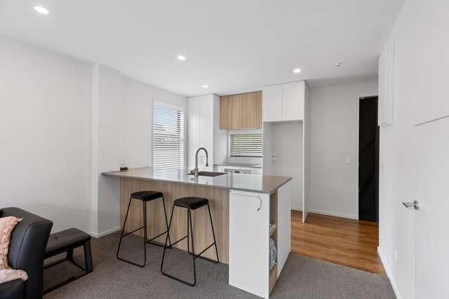 3/7 Hinemoa Street Spreydon_1