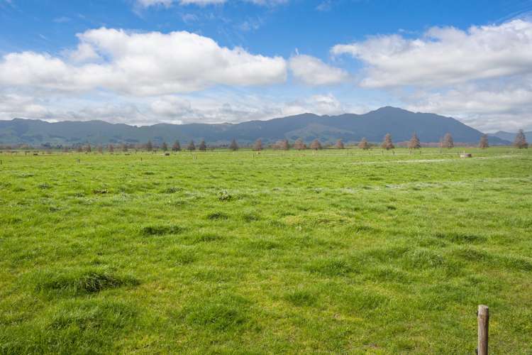 227 Endowment Road Te Aroha_1