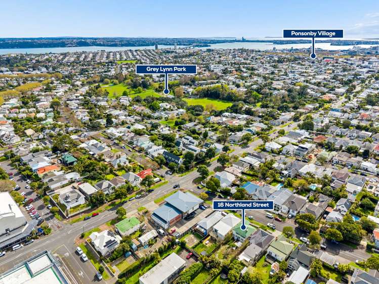 16 Northland Street Grey Lynn_16