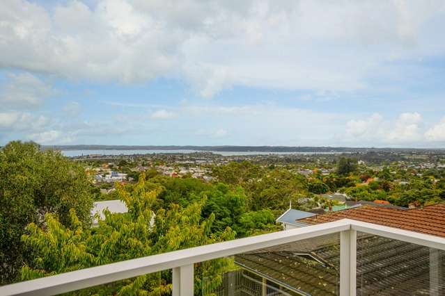 36 Summit Drive Mount Albert_3