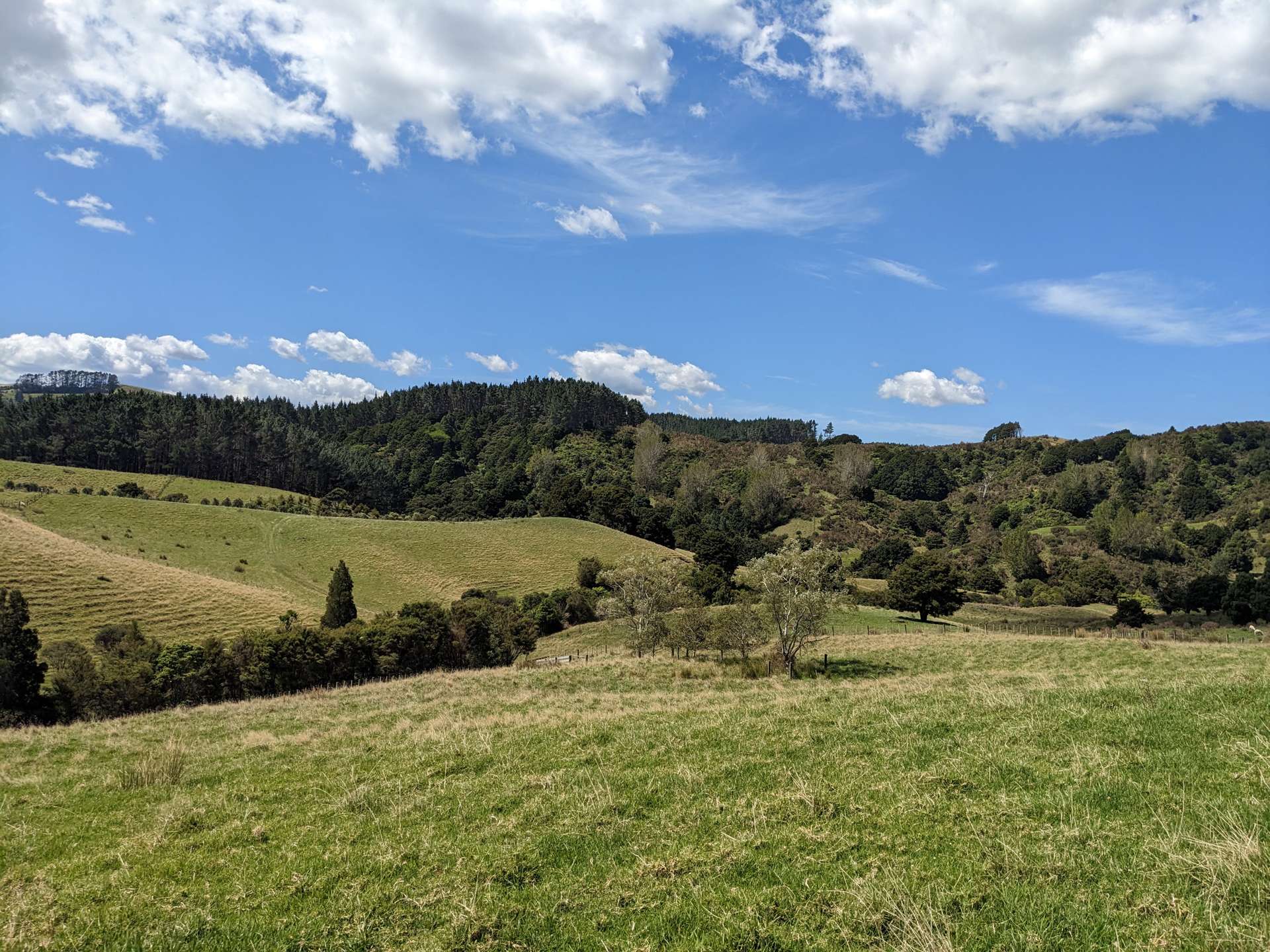 334b Komokoriki Hill Road Makarau_0