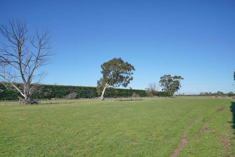 451 Johns Road Fernside_19