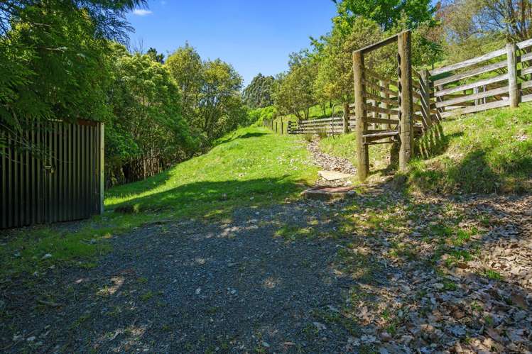 231 Aniseed Valley Road Hope_39