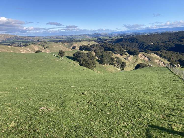 2829 Puketitiri Road Patoka_31