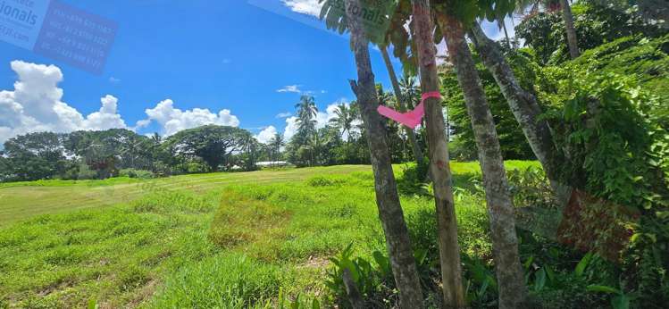 Address withheld Pacific Harbour_16