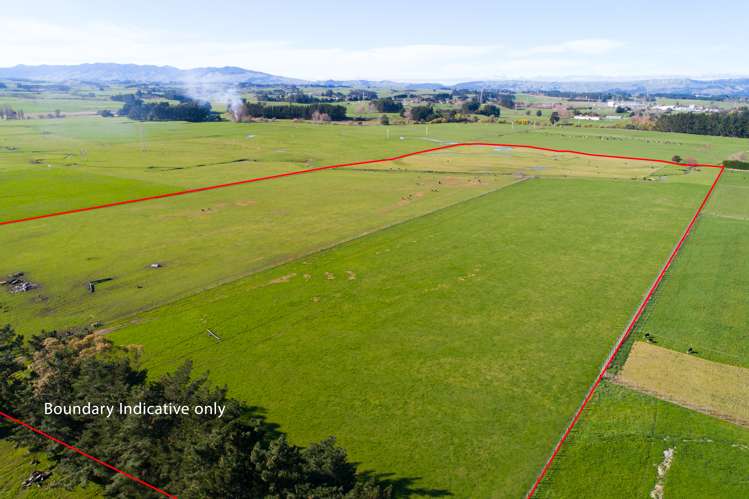 50 Nannestads Line Bunnythorpe_6