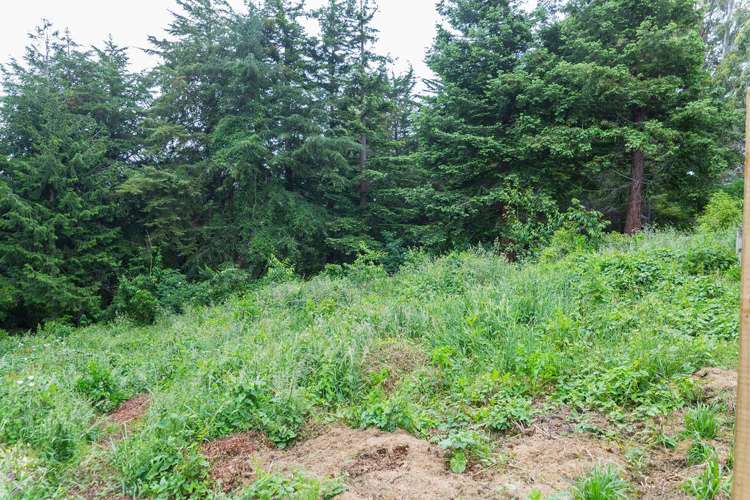 13 Allan Street Dannevirke_22