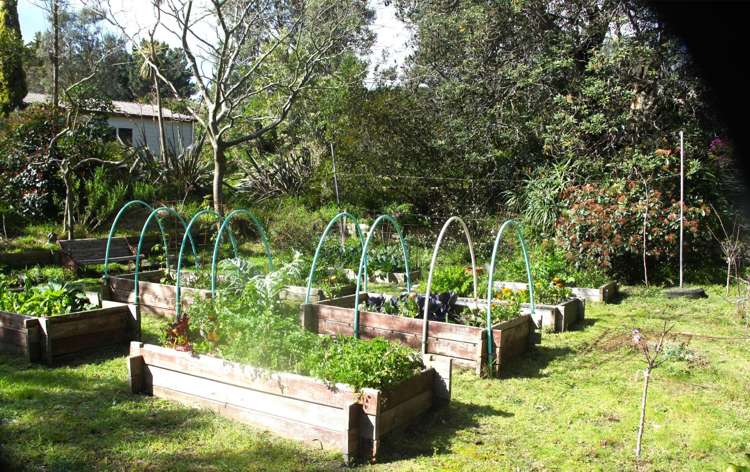 66 Palmer Road Foxton Beach_53