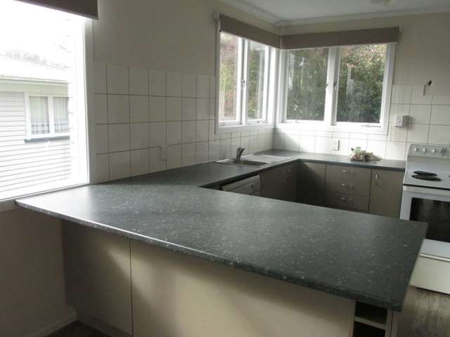 101 Reservoir Street Putaruru_3