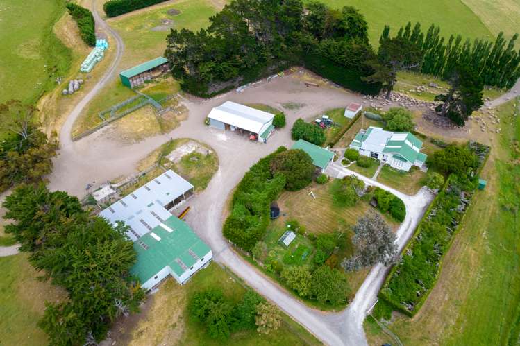 6 Clermont Street Ward_13