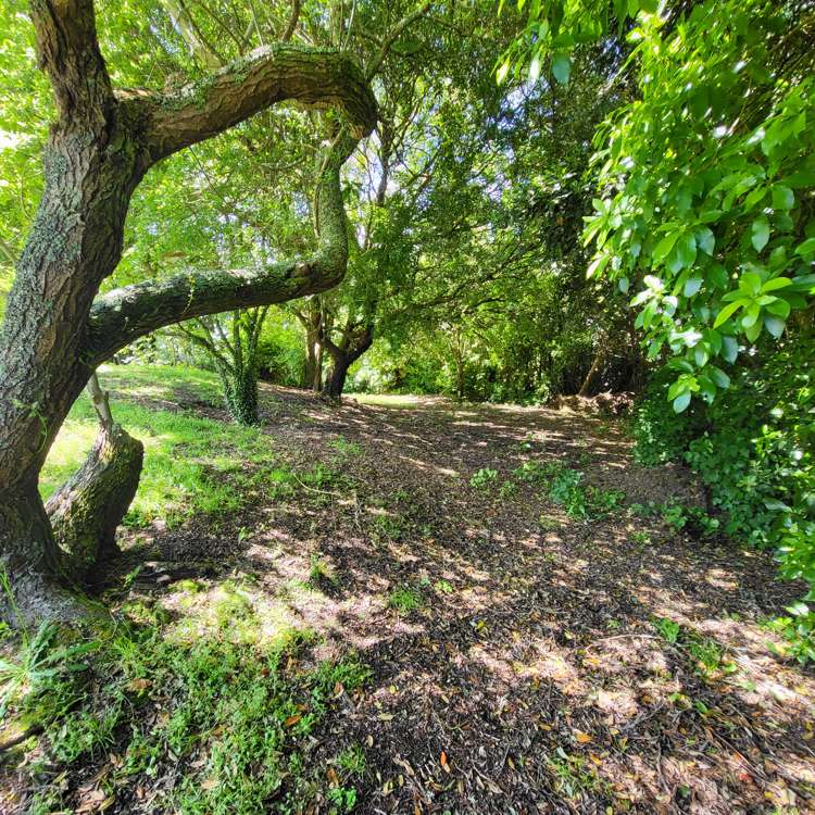 10 Hillview Crescent Paparangi_8