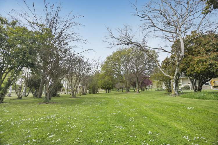 90 Crawford Hills Road Alexandra_14