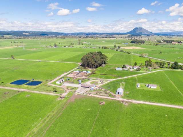 311a Hydro Road Edgecumbe_3