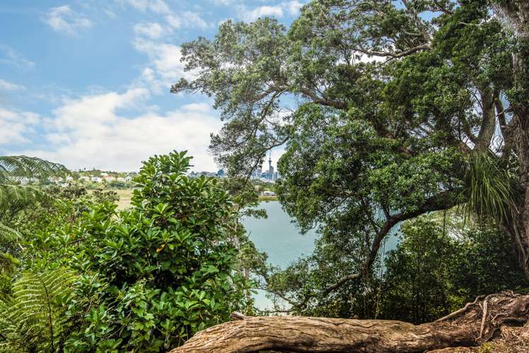 69 Ngataringa Road Devonport_15