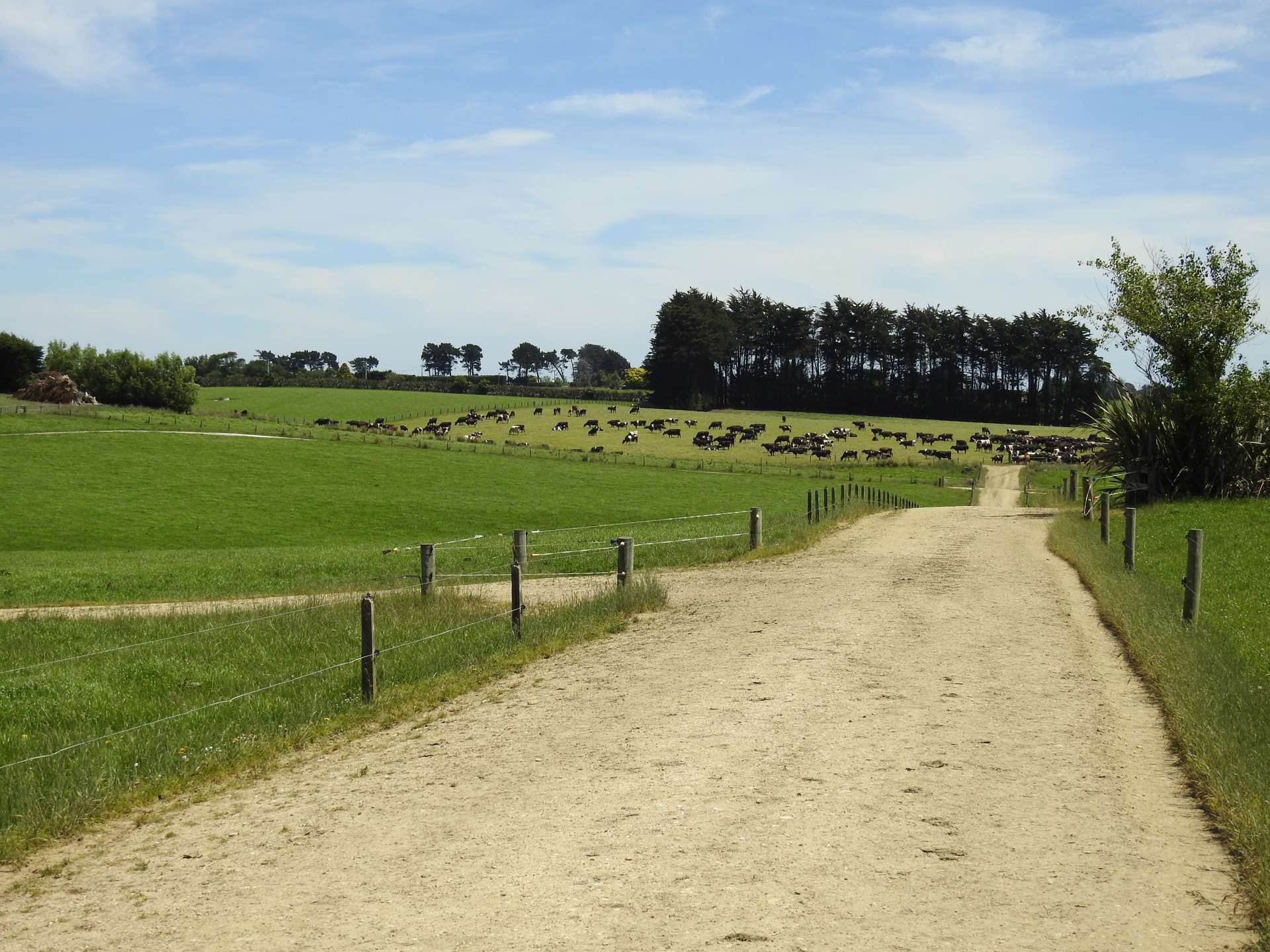 45 Rimu Seaward Downs Road Wyndham Surrounds_0