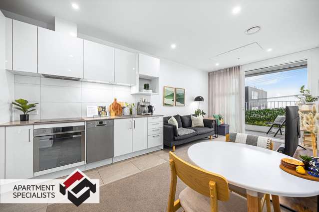 11 Akepiro Street Mount Eden_1