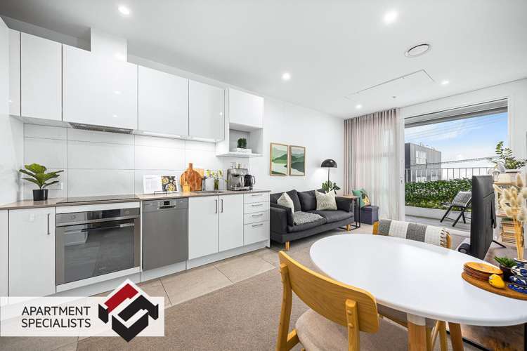 11 Akepiro Street Mount Eden_1