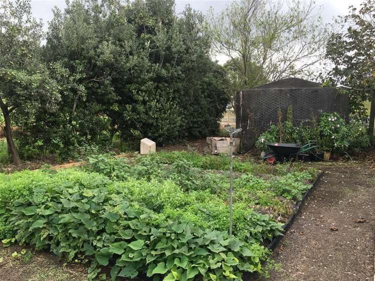 3 Spring Street Dargaville_13