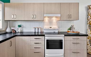 20 Kauri Crescent_4