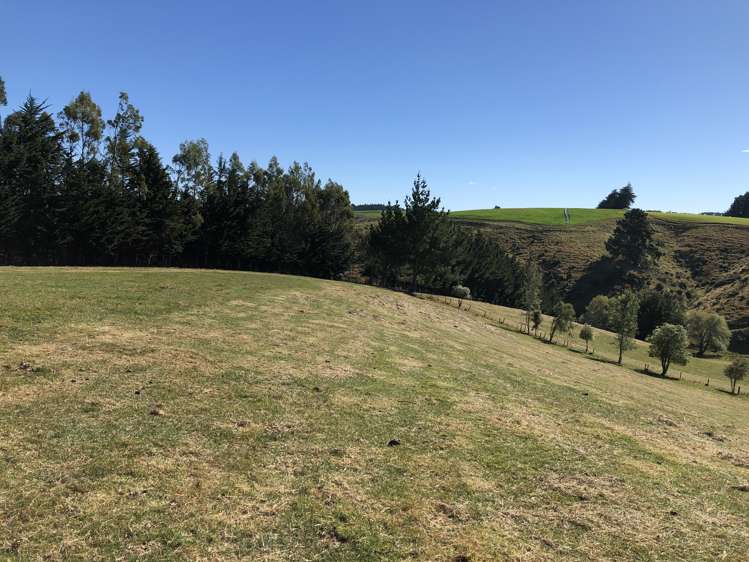 126 Johnston Road Balclutha_2