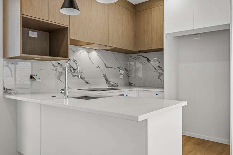 53 Hermitage Street_5