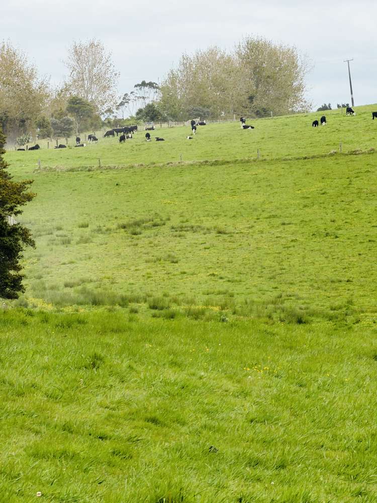 117 Pigs Head Road Whakapara_47