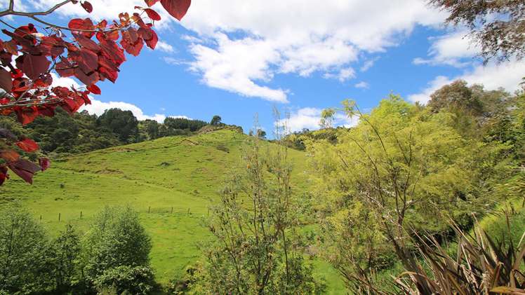 471b Taneatua Road Taneatua_2