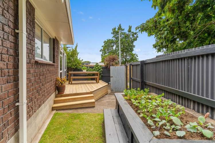 50a Andrew Place Otumoetai_16