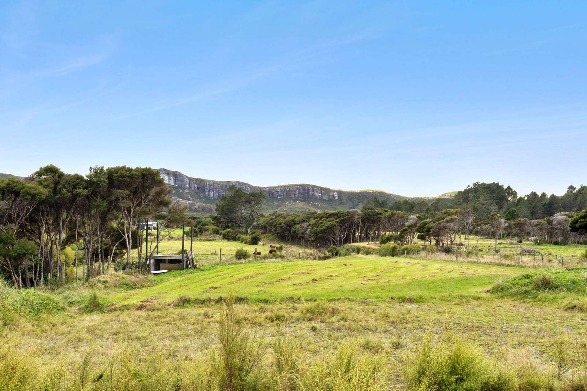 Prop Lot 2 29 McGowan Street, Puponga Golden Bay_0