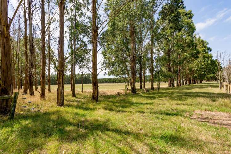 942 Ellesmere Junction Road Burnham_25