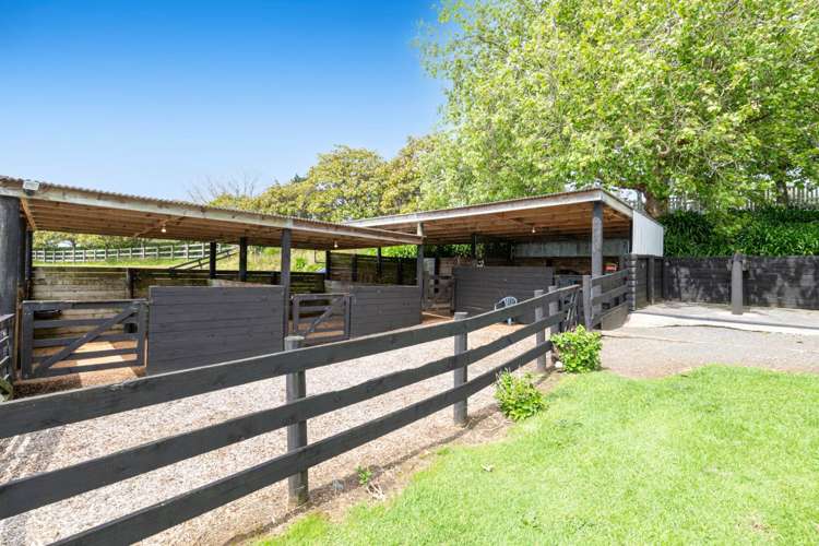 298 Rimmer Road Helensville_40