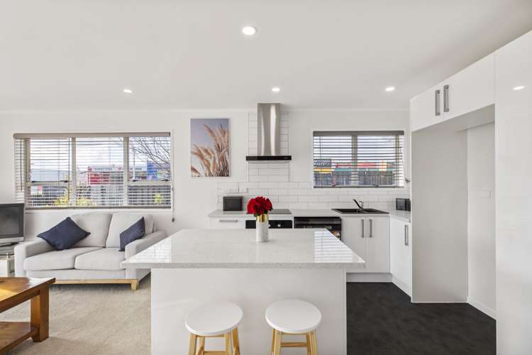 1/2 Palm Court Drive Glen Eden_1