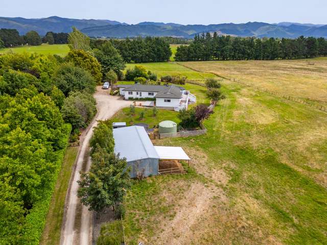73 Udy Street Greytown_4