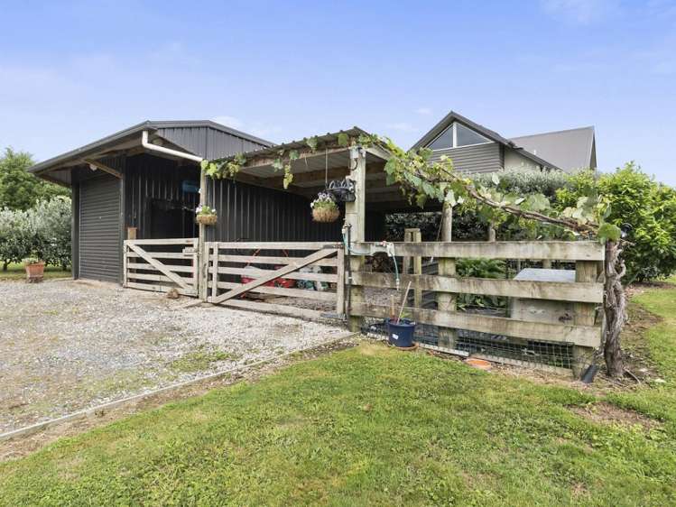 66 Webster Road Matangi_19