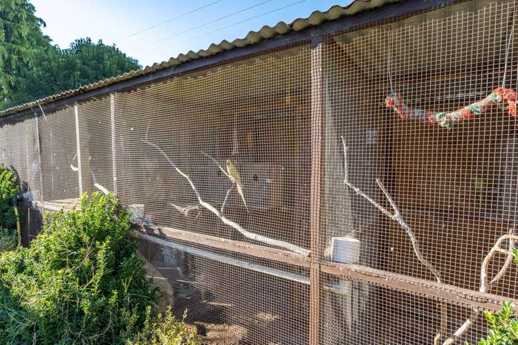 5a East Ridge Grove Newstead_12