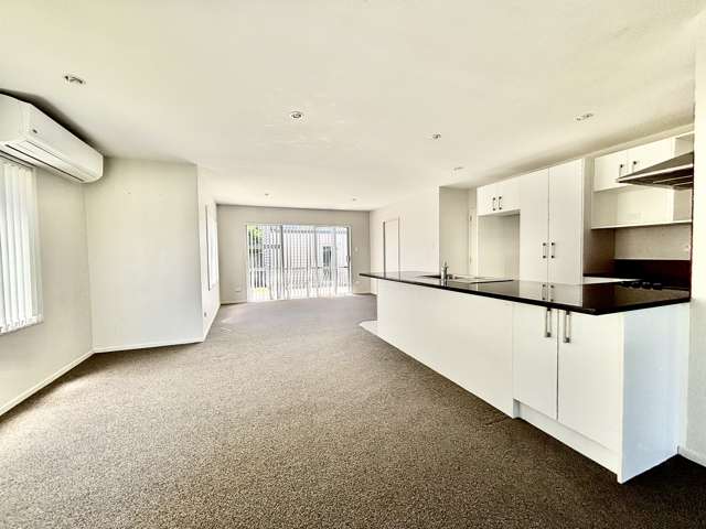 7 Puweto Ave Takanini_1