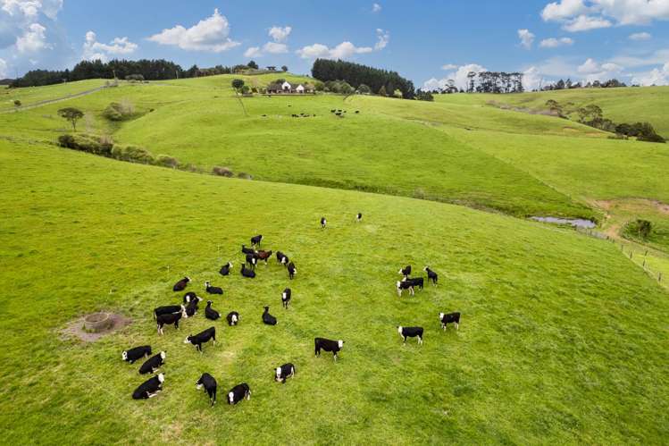 915 Old North Road Waimauku_19